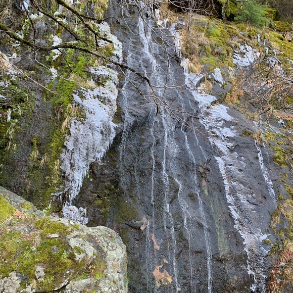 Meet your Posher, Ssundus - Picture 1 of 1